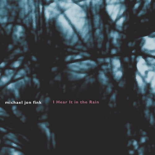 Fink: I Hear it in the Rain