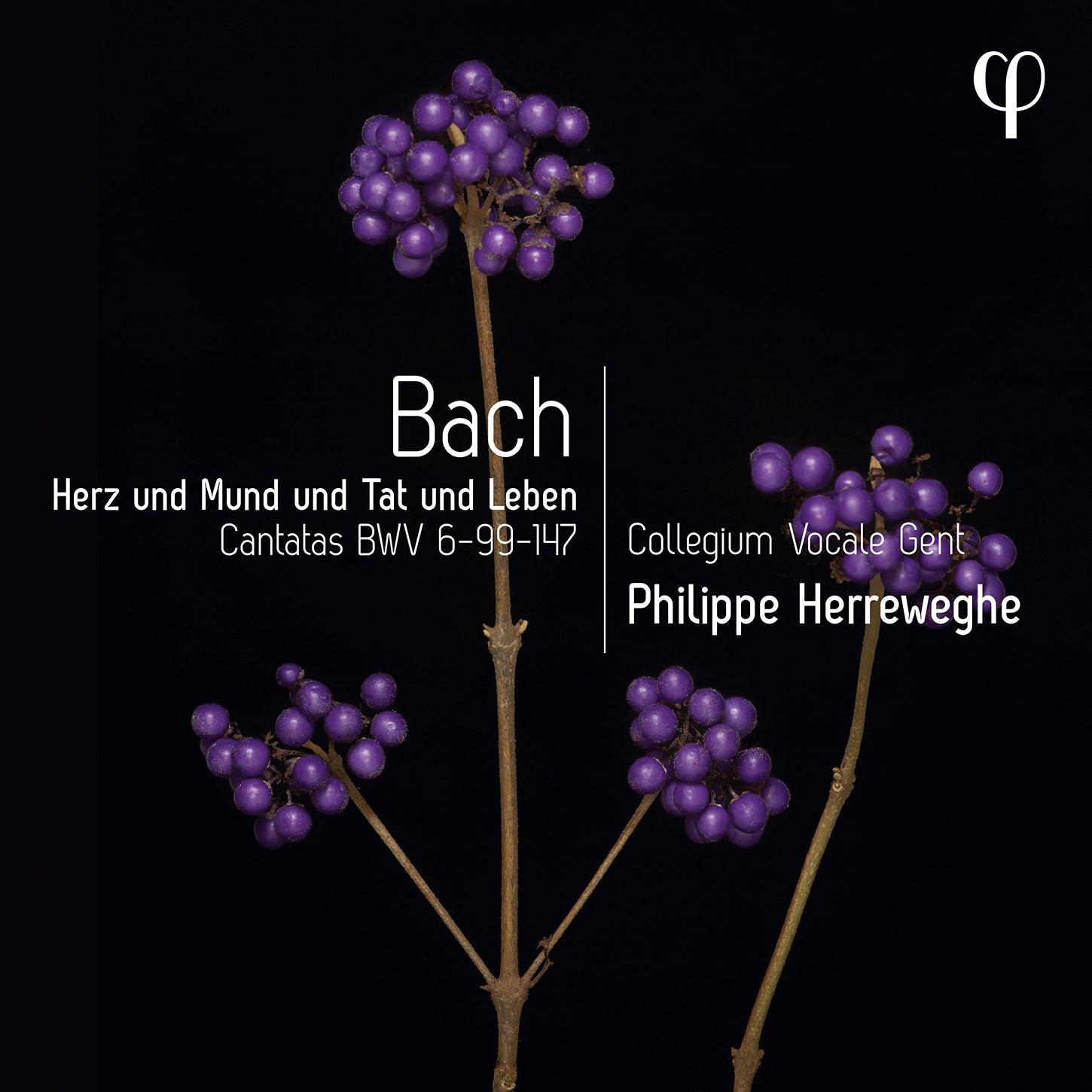 Bach: Herz und Mund und Tat und Leben - Cantatas BWV 6, 99, & 147 / Herreweghe