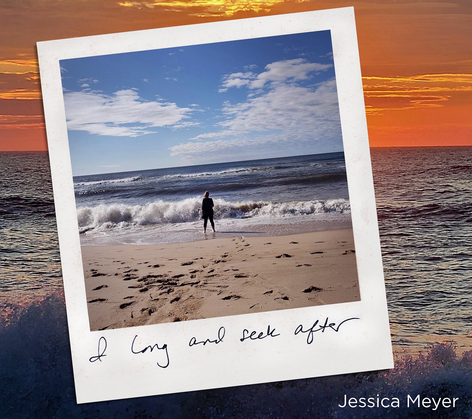 I long & seek after / Jessica Meyer
