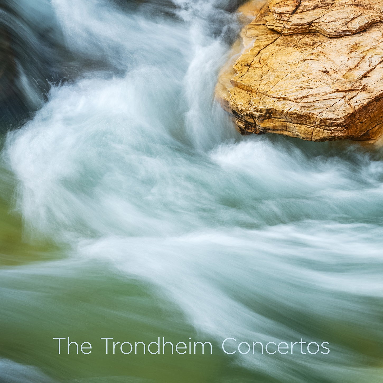 Vivaldi: The Trondheim Concertos