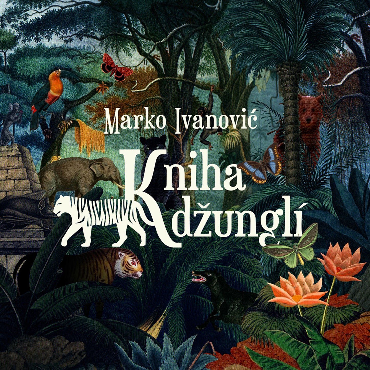 Ivanović: The Jungle Book