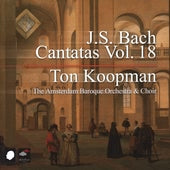Bach: Cantatas Vol 18 / Koopman, Amsterdam Baroque