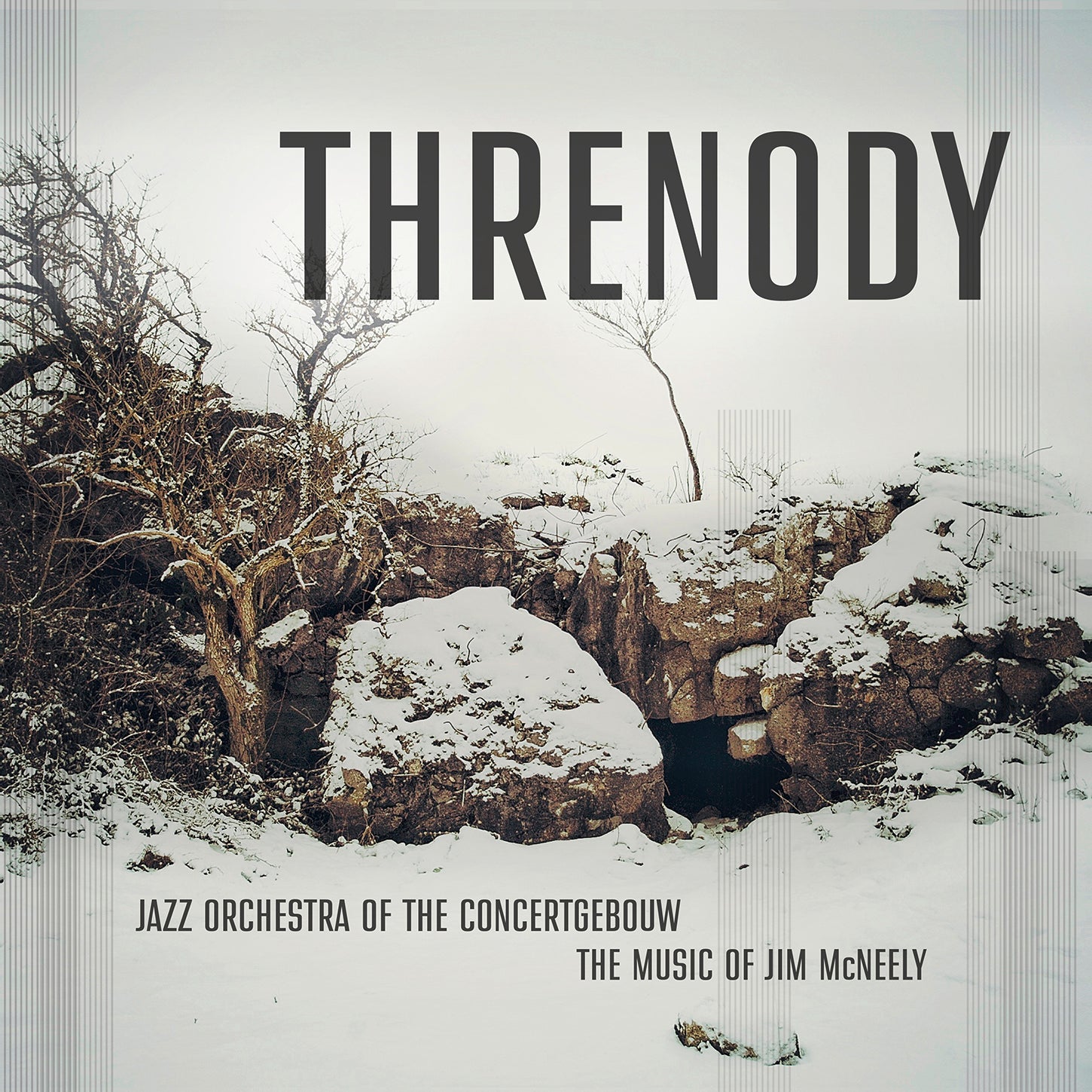 Threnody - Music of Jim McNeely / Jazz Orchestra of the Concertgebouw