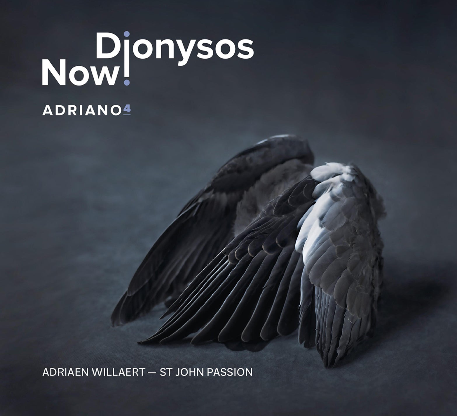Willaert: Adriano 4 / Dionysos Now!
