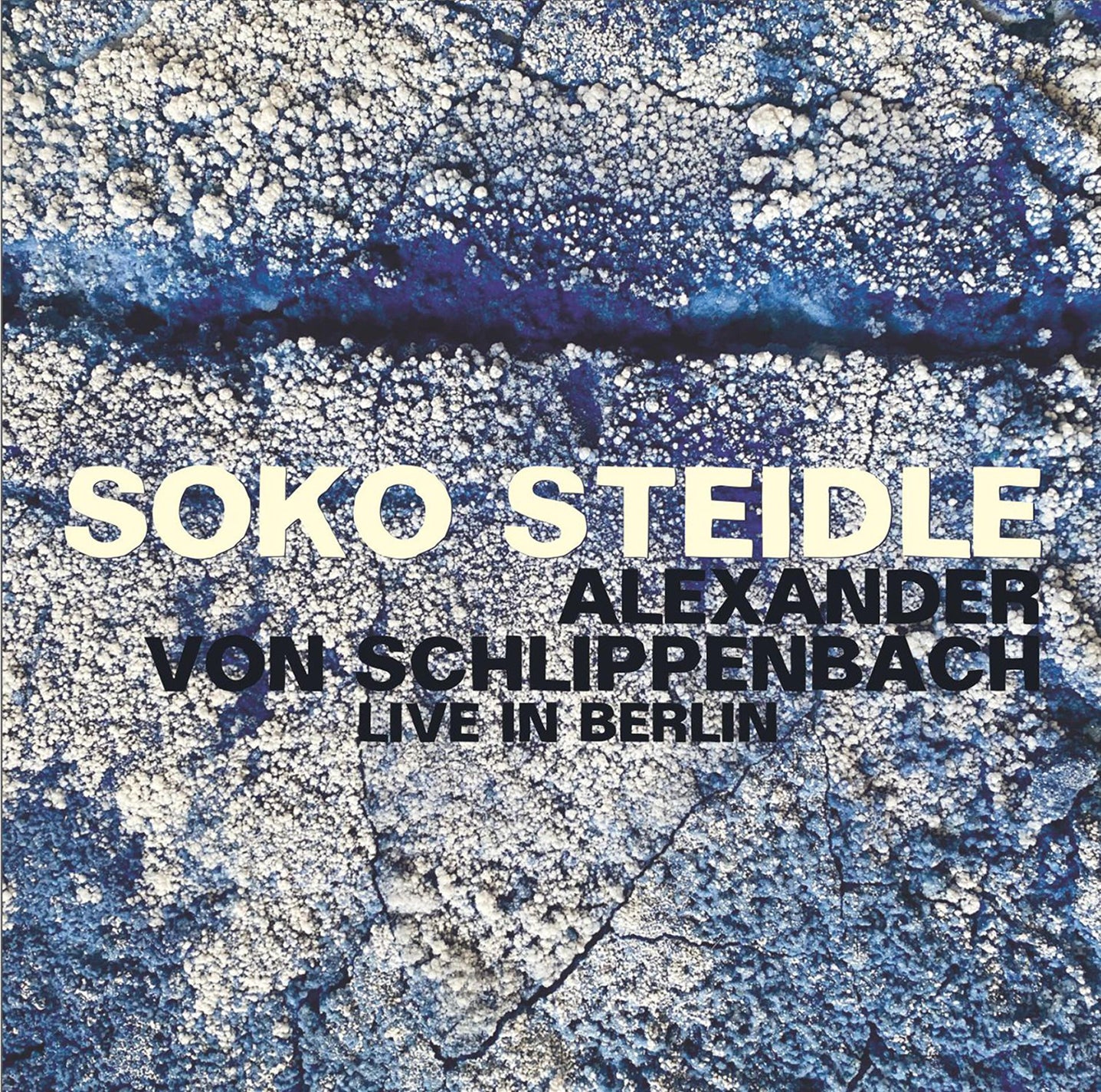 Live in Berlin / SoKo Steidle + Alexander von Schlippenbach