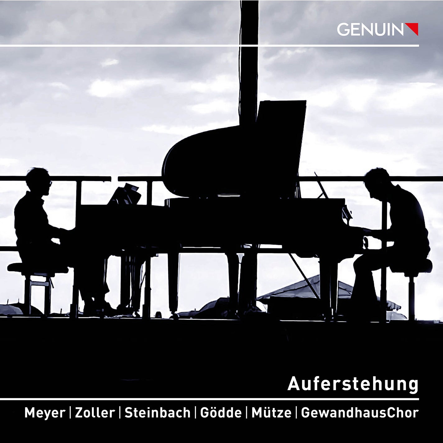 Mahler: Auferstehung - Symphony no. 2 as Chamber Music / Meyer, Zoller et al.