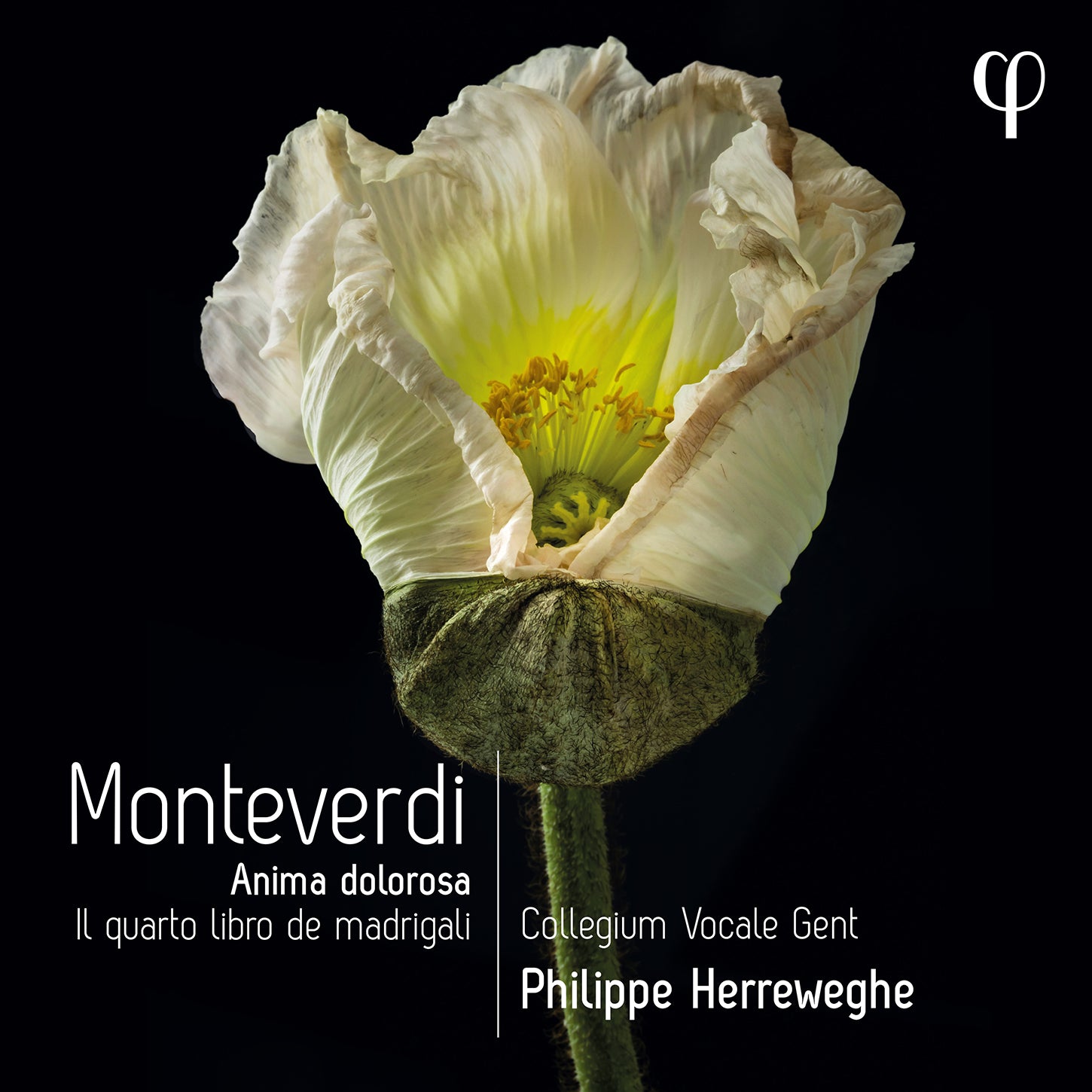 Monteverdi: Il quarto libro de madrigali / Herreweghe, Collegium Vocale Gent