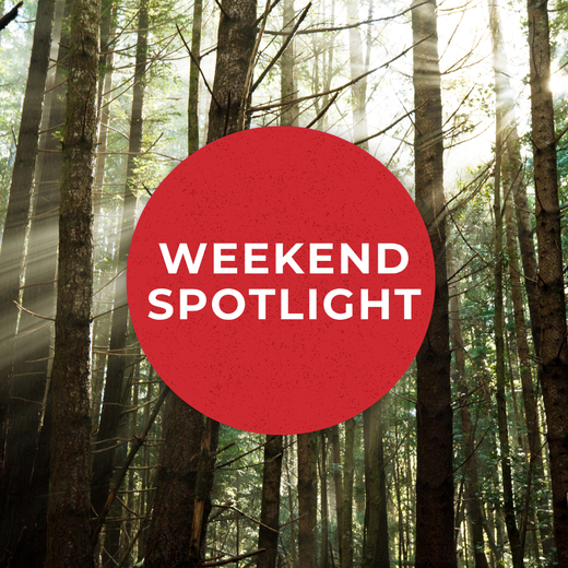 Weekend Spotlight: Chamber Music Showcase