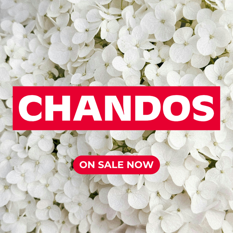 Chandos Sale Summer 2026