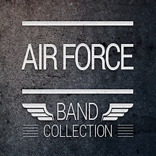 US Air Force