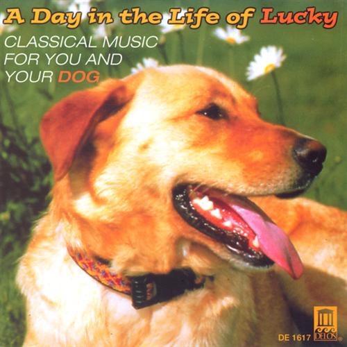 A Day In The Life Of Lucky - Music For You & Your Dog