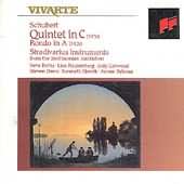 Schubert: Quintet In C, Rondo In A / Beths, Bylsma, Dann, Slowik, Rautenberg