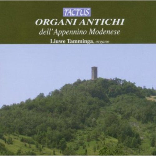 Organi Antichi dell'Appennino Modenese