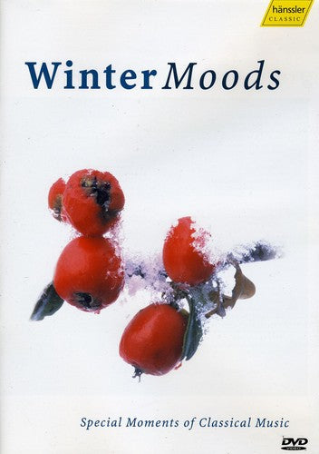 WINTER MOODS (DVD)