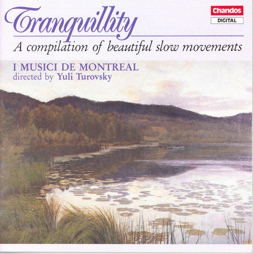 TRANQUILLITY – A COMPILATION OF BEAUTIFUL SLOW MOVEMENTS