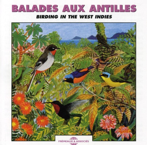 BIRDING IN WEST INDIES