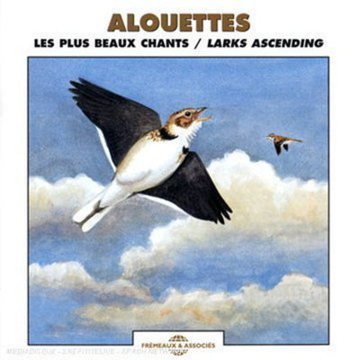 LARKS ASCENDING