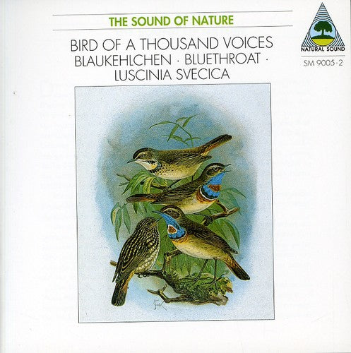 SOUND OF NATURE (THE): Bird of a Thousand Voices - Blaukehlc