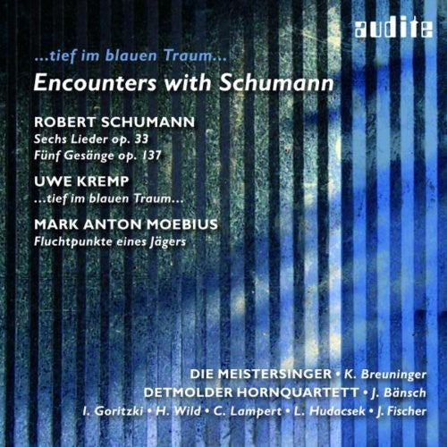 ENCOUNTERS WITH SCHUMANN: TIEF