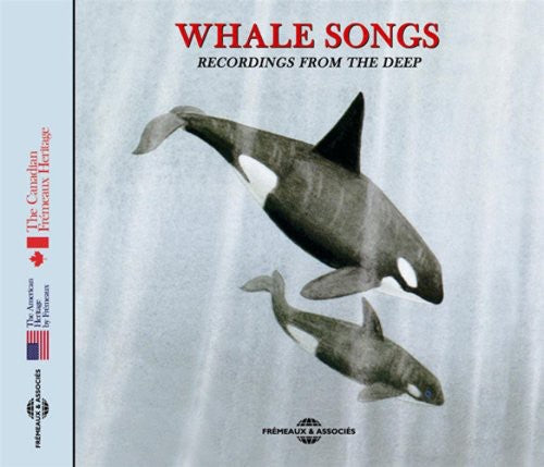 WHALE SONGS
