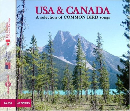 USA & CANADA: COMMON BIRDS SON