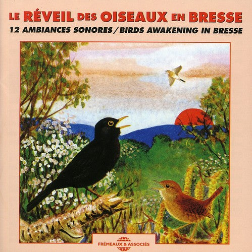BIRDS AWAKENING IN BRESSE