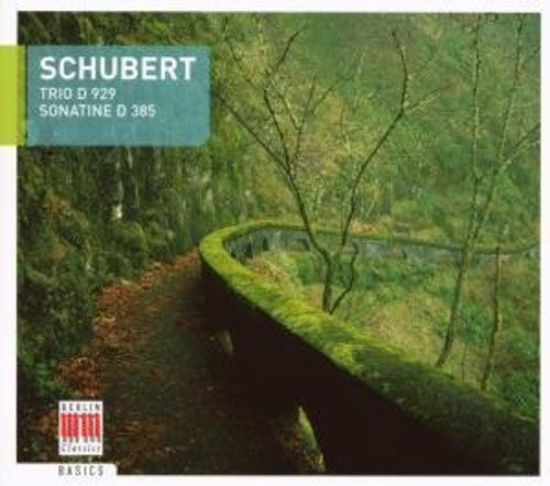 SCHUBERT:TRIO D 929/SONATINTE