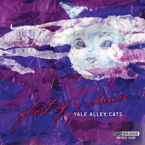 YALE ALLEY CATS: Ghost of a Chance