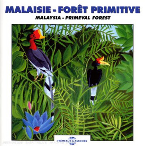 MALAYSIA: PRIMEVAL FOREST