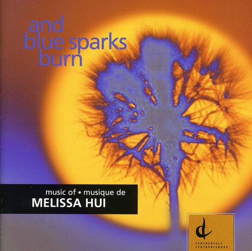 Hui, M.: And Blue Sparks Burn