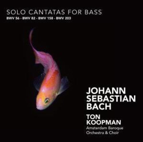 Bach, J.S.: Cantatas for Bass, Bwv 56, 82, 158, 203