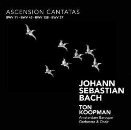 Bach: Ascension Cantatas / Koopman, Piau, Zomer, Mertens, Et Al