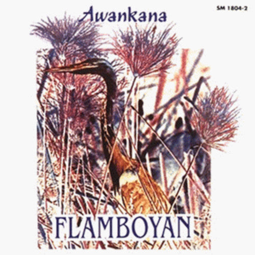 FLAMBOYAN