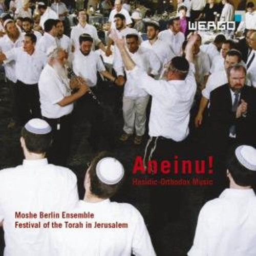 Moshe Berlin Ensemble: Aneinu!