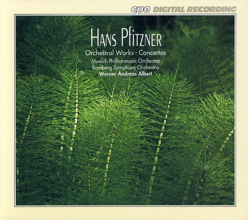 Pfitzner: Orchestral Works / Albert, Bamberg So