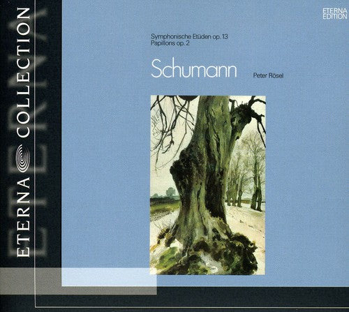 Schumann, R.: Symphonic Etudes / Etudes En Formes De Variati