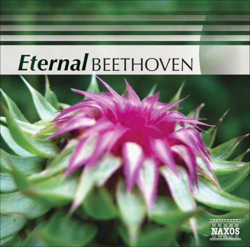 BEETHOVEN (Eternal)