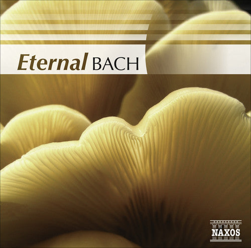 BACH (Eternal)