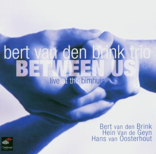 BERT VAN DEN BRINK TRIO: Between Us