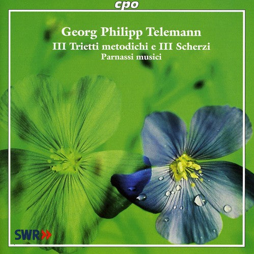 Telemann: Trietti And Scherzi / Parnassi Musici