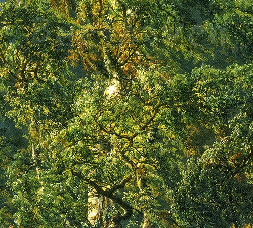 Beethoven: Cello Sonatas, Vol. 1