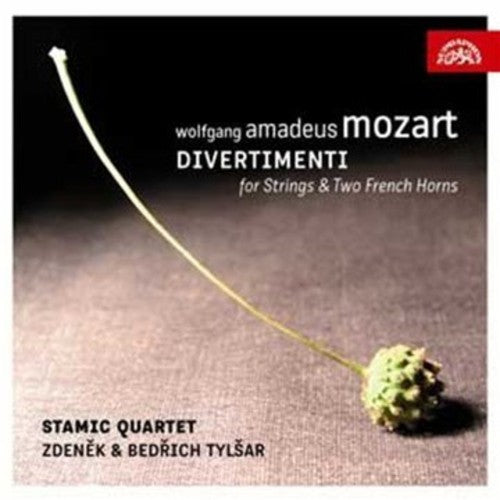 Divertimenti for Strings and Two French Horns