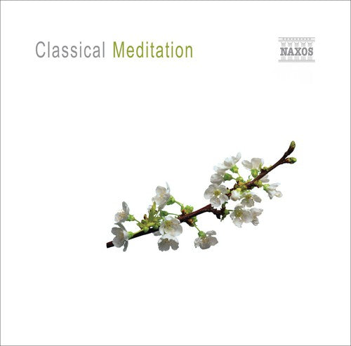 CLASSICAL MEDITATION