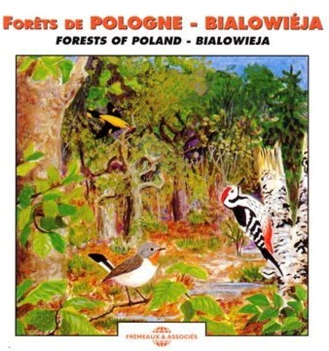 FORESTS OF POLAND: BIALOWIEJA