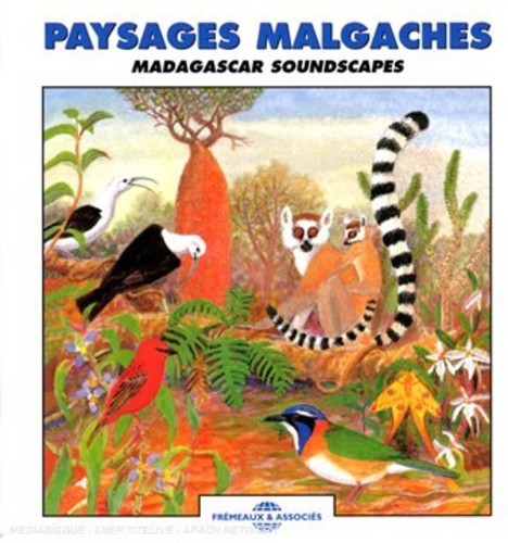 MADAGASCAR SOUNDSCAPES