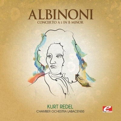 CONCERTO 5 B MINOR