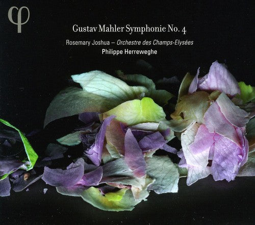 Mahler: Symphonie No 4 / Herreweghe, Champs-elysees Orchestra