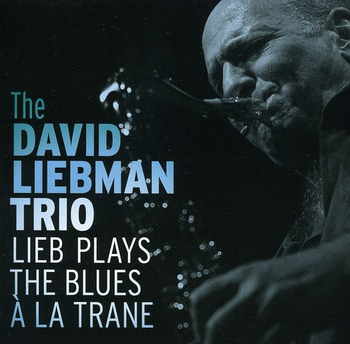 DAVID LIEBMAN TRIO: Lieb Plays the Blues a la Trane