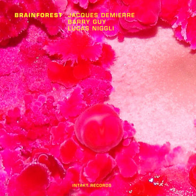 BRAINFOREST