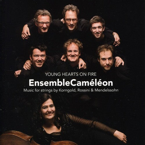 Ensemble Cameleon